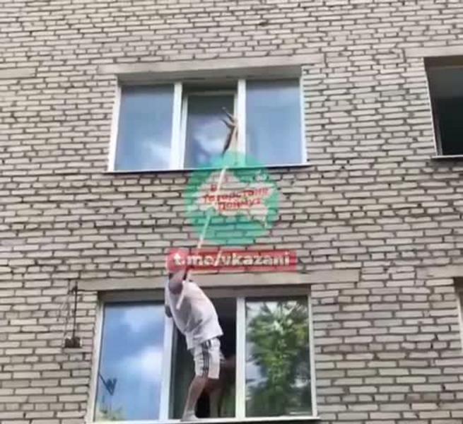 В Лениногорске мужчина спас застрявшего на высоте в оконной раме кота