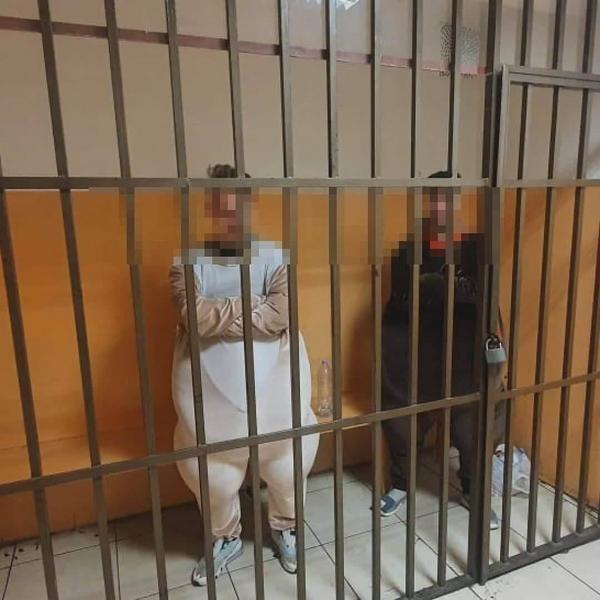 Вымогавших деньги за фото коней-аниматоров арестовали на пять суток