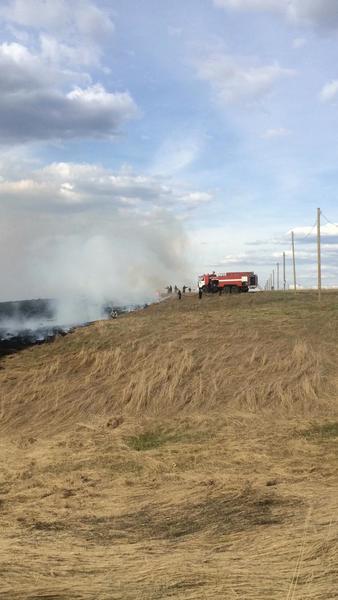 Пожарные потушили горящее под Нижнекамском поле на площади 850 кв.м.