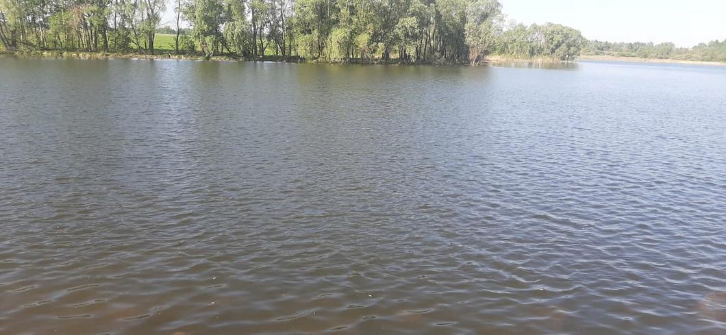 Тело пропавшего татарстанца обнаружено в пруду Тело пропавшего татарстанца обнаружено в пруду