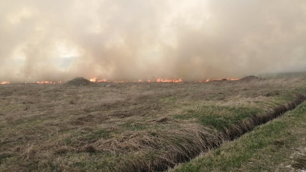 Пожарные потушили горящее под Нижнекамском поле на площади 850 кв.м.
