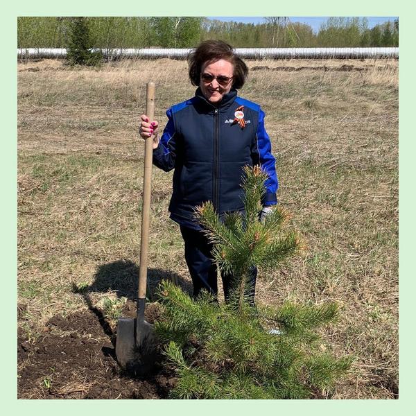 Сотрудники «Нижнекамскнефтехима» высадили 76 деревьев в честь предстоящего Дня Победы