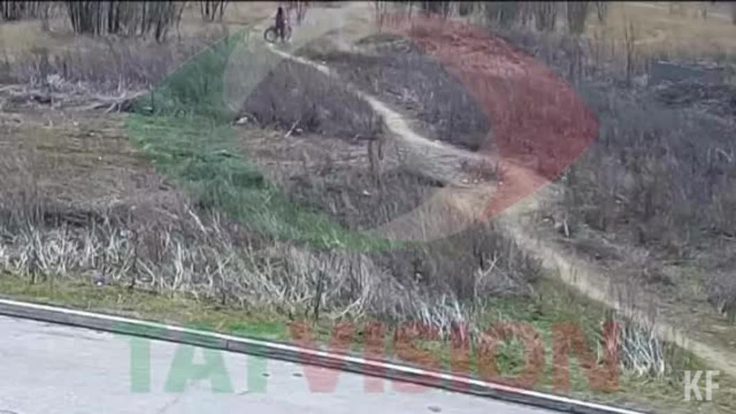 В Нижнекамске разыскивают велосипедиста-пиромана за намеренный поджог травы