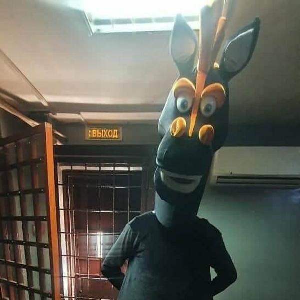 Вымогавших деньги за фото коней-аниматоров арестовали на пять суток