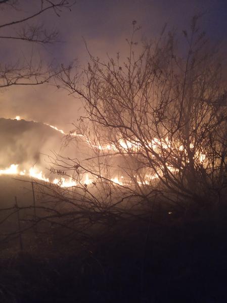 Сотни «квадратов» травы, мусора, камыша сгорели в Нижнекамском районе в майские праздники