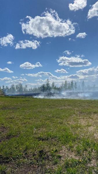 Из-за непотушенных углей в поле в Нижнекамске произошел пожар