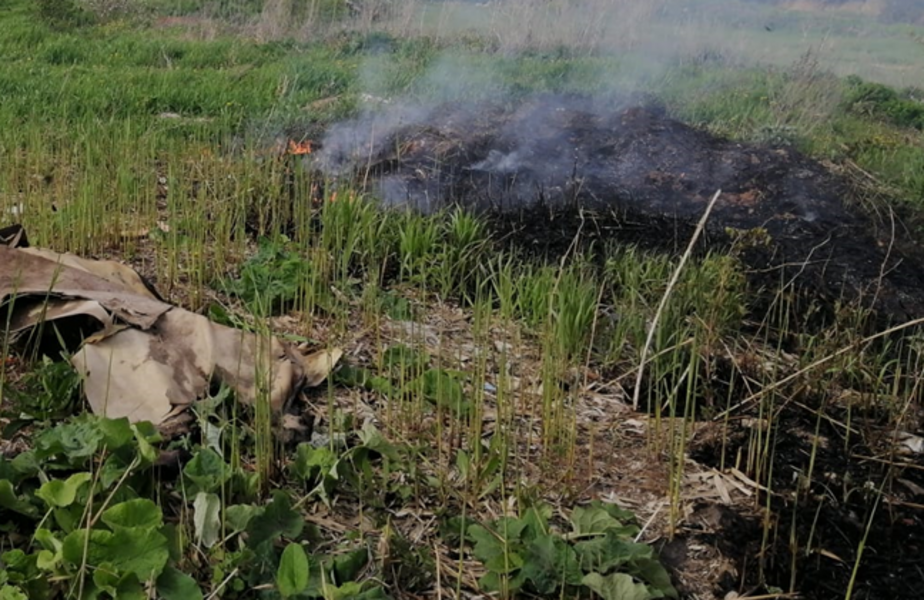 Вдоль Омшанки в Нижнекамске горел камыш