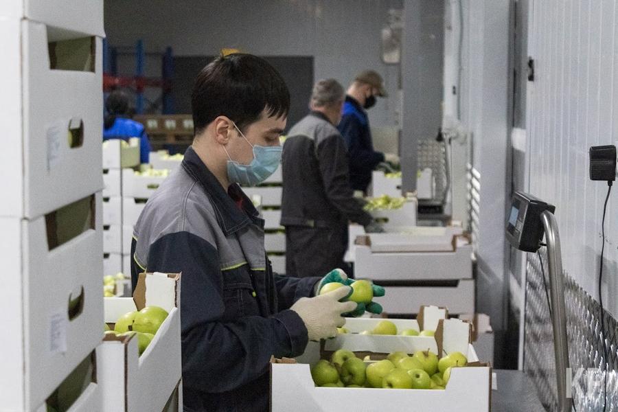 «Все основные продовольственные товары в республике есть»: Татарстан обеспечен продуктами на 100%