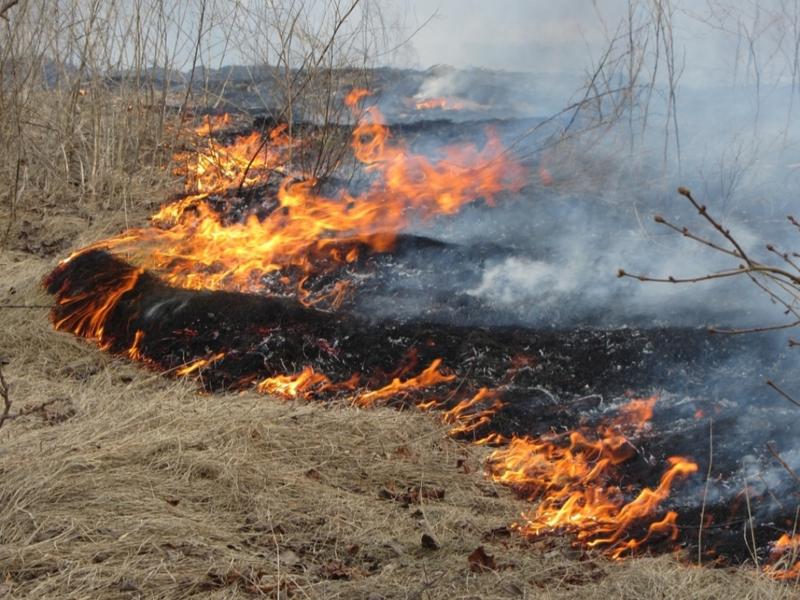Сотни «квадратов» травы, мусора, камыша сгорели в Нижнекамском районе в майские праздники