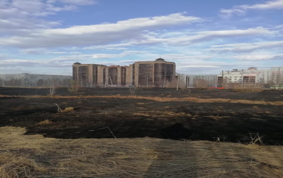 Для уменьшения возгораний сухой травы и мусора в Нижнекамске Рамиль Муллин предлагает наказывать хозяев земель