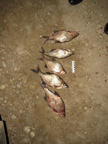 Полицейские задержали в Мамадышском районе Татарстана браконьера