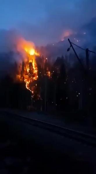 Семь гектаров леса горит на территории заповедника в Башкирии