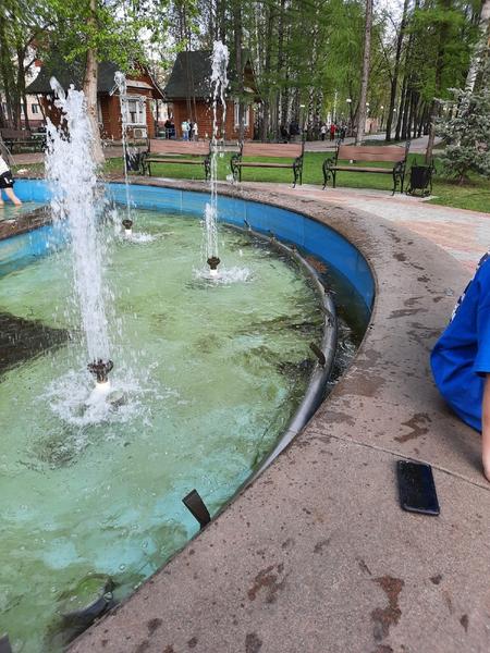 «Содержание оставляет желать лучшего»: Рамиль Муллин недоволен состоянием нижнекамских парков и скверов