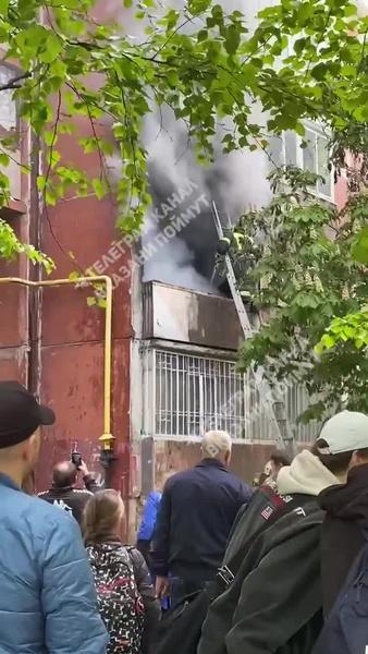 Казанские пожарные спасли из горящей квартиры на Лукина домашних питомцев
