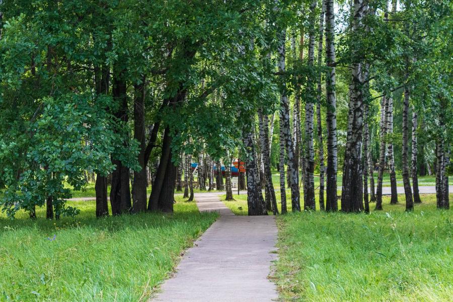 «Для безопасности отдыха детей организована круглосуточная охрана»: как подготовились к летним каникулам в Нижнекамске «Для безопасности отдыха детей организована круглосуточная охрана»: как подготовились к летним каникулам в Нижнекамске