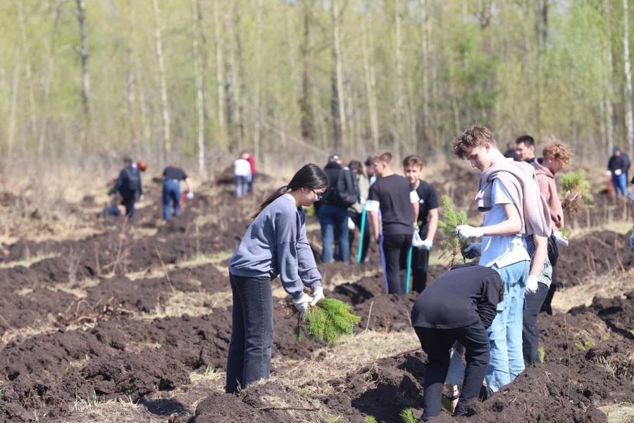 Нижнекамцев поблагодарили за участие в экологическом двухмесячнике Нижнекамцев поблагодарили за участие в экологическом двухмесячнике
