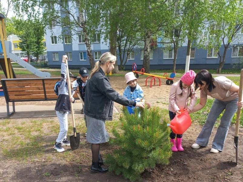 К 78-й годовщине Победы в Нижнекамске дети высадили 78 елей