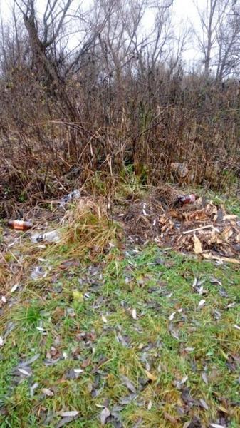 Сельчане Лениногорского района несколько лет сваливают мусор на землю