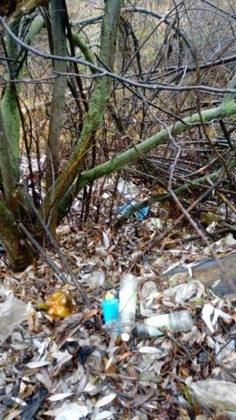 Сельчане Лениногорского района несколько лет сваливают мусор на землю