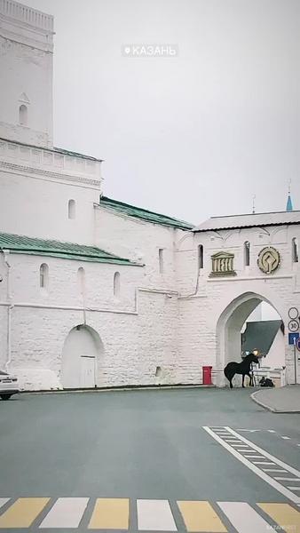 Видео: в Казани лошадь сбежала из экскурсионной кареты и пытается прорваться в Кремль