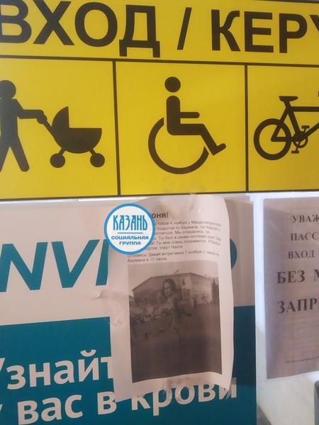 Соцсети: у коней на Баумана появилась «настойчивая поклонница»