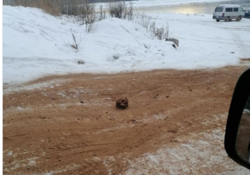 Под Иркутском ищут подрядчика, посыпавшего дорогу песком с человеческими костями Под Иркутском ищут подрядчика, посыпавшего дорогу песком с человеческими костями