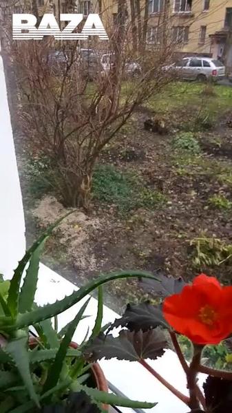 Петербуржец заперся в квартире с шестью детьми, угрожая убить их топором за измену жены