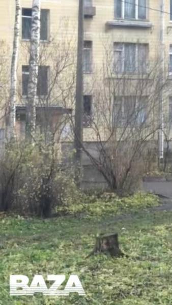 Петербуржец заперся в квартире с шестью детьми, угрожая убить их топором за измену жены