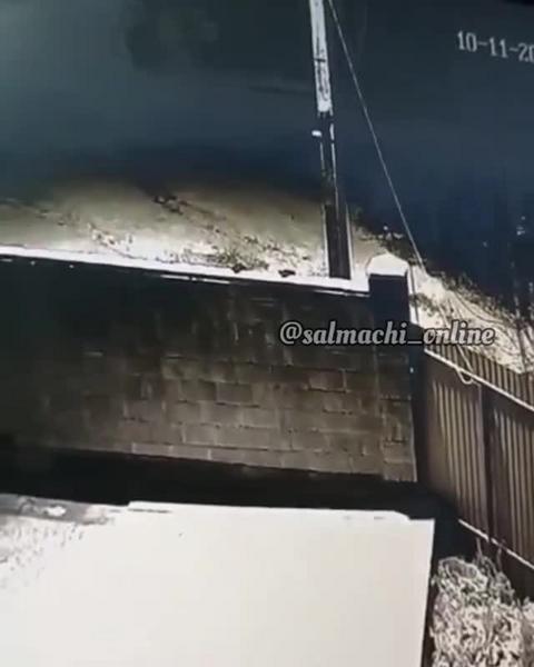 Охранявшая частный дом в Казани собака спугнула перелезшего через забор вора