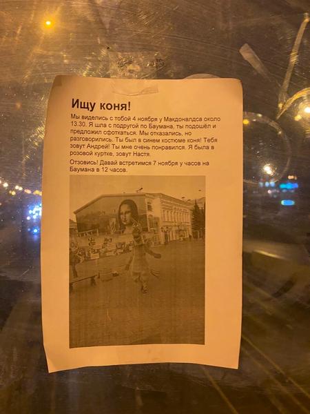 Соцсети: у коней на Баумана появилась «настойчивая поклонница»