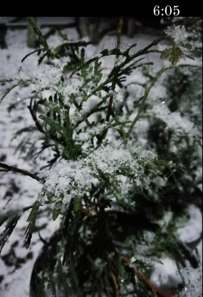 Казанцы делятся фотографиями первого снега