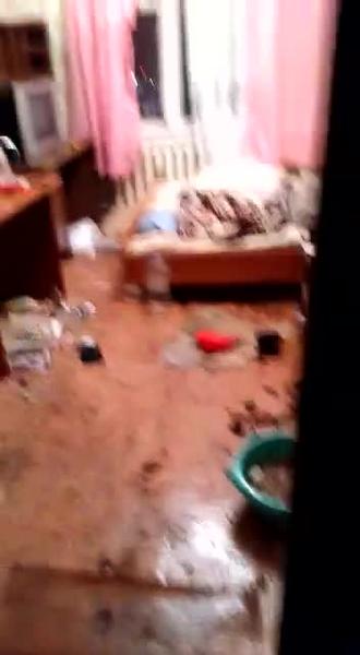 Нижнекамка показала, как выглядит комната, в которой хозяин испражнялся на пол