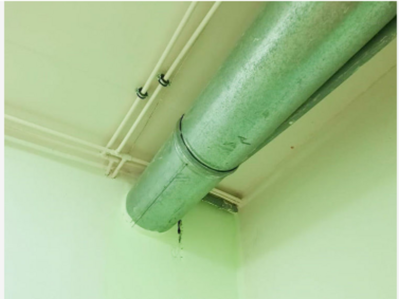 Ученица сельской школы Татарстана заболела из-за плесени в здании