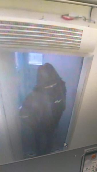 Кассир банка в Васильево отдала все деньги неизвестному мужчине с пистолетом