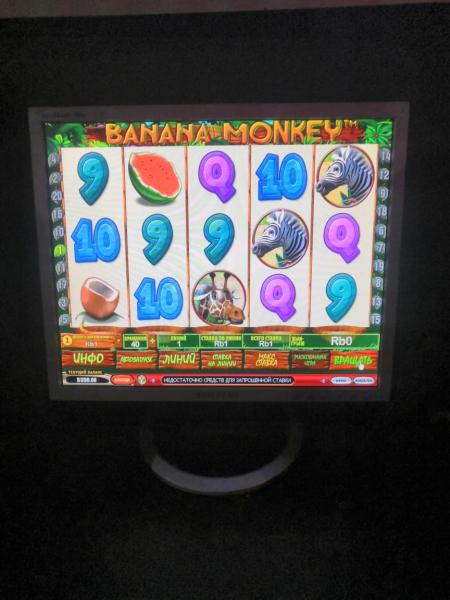 В доме Челнов накрыли игровой салон, организованный судимым за наркопреступление В доме Челнов накрыли игровой салон, организованный судимым за наркопреступление