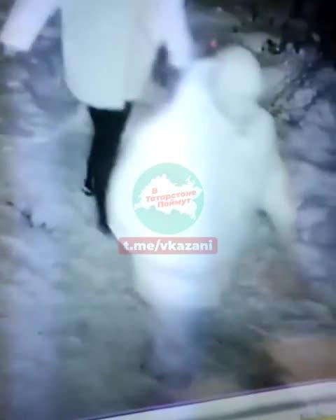 Парочка привязала пса у ворот зеленодольского приюта и оставила животное
