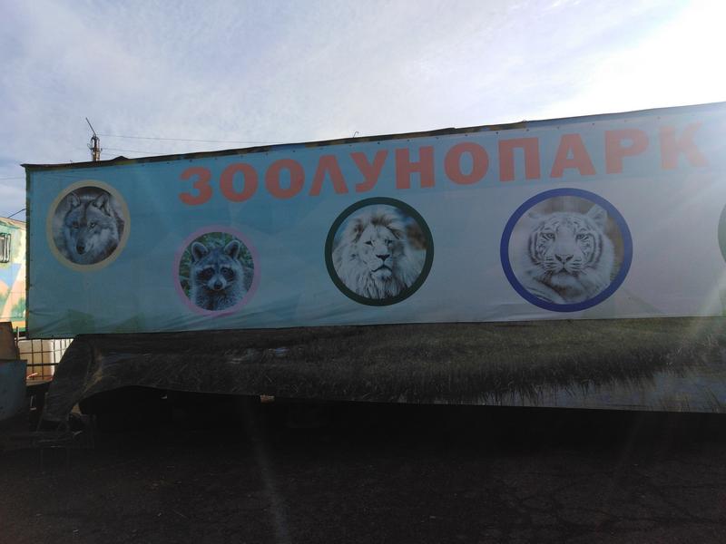 Татарстанских собак скармливают леопардам из передвижного зоопарка?
