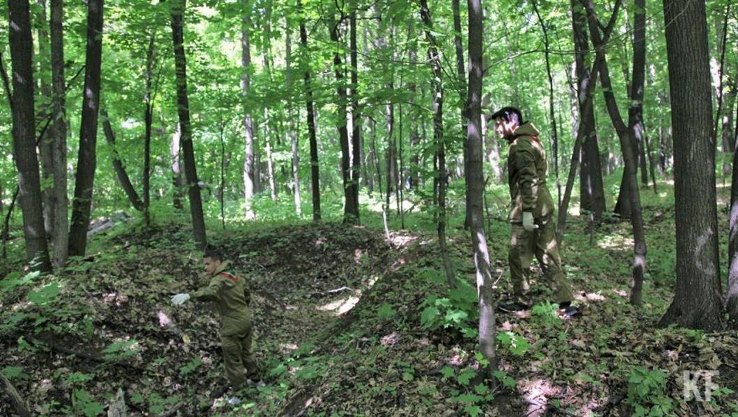 Активисты просят спасти Шильнинский лес, а не делать из него парк и отдавать разработчикам генплана Челнов