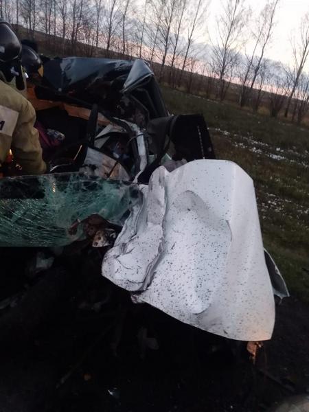 В Чистопольском районе в результате ДТП скончалась женщина, и пострадали двое детей-пассажиров