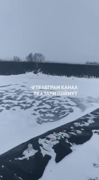 Сотрудник Госкомитета Татарстана по биоресурсам Равиль Хадиев спас рысей в Атнинском районе