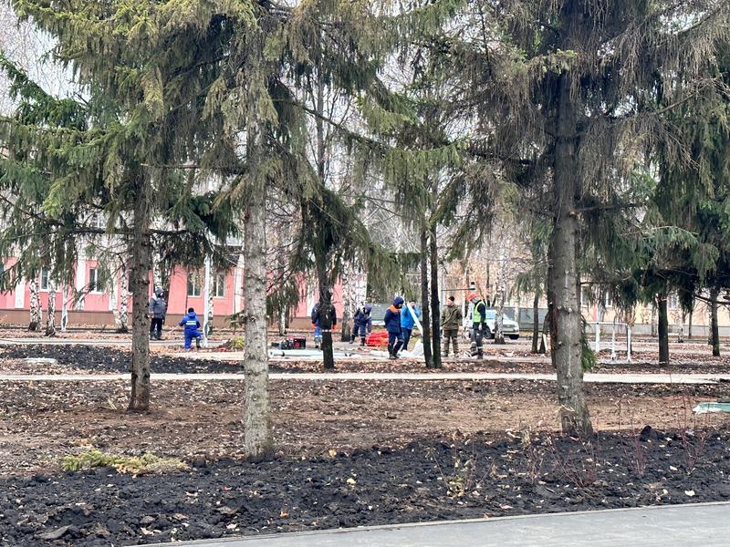 В Комсомольском парке Альметьевске высадят деревья, увеличат парковочные места