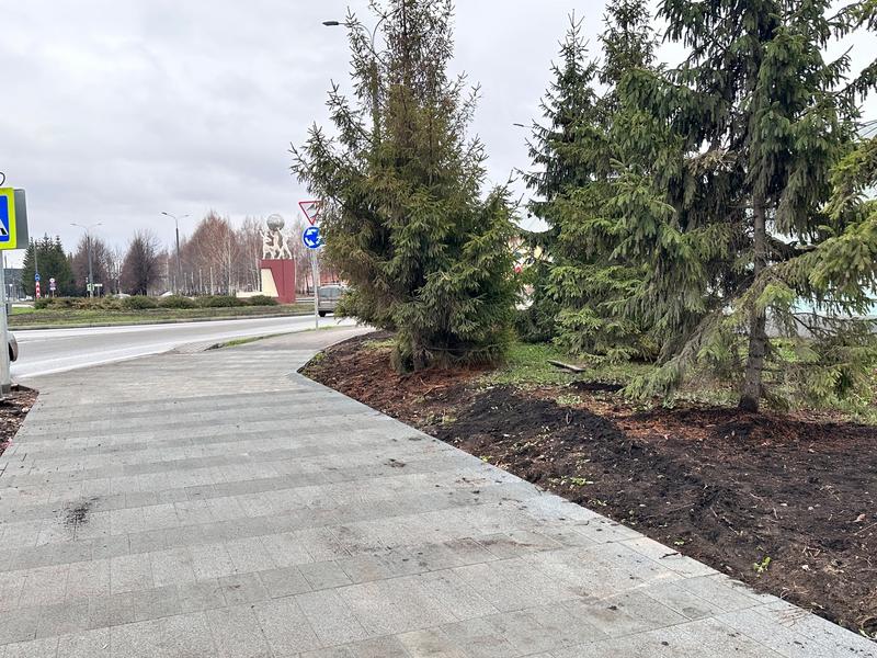 В Комсомольском парке Альметьевске высадят деревья, увеличат парковочные места