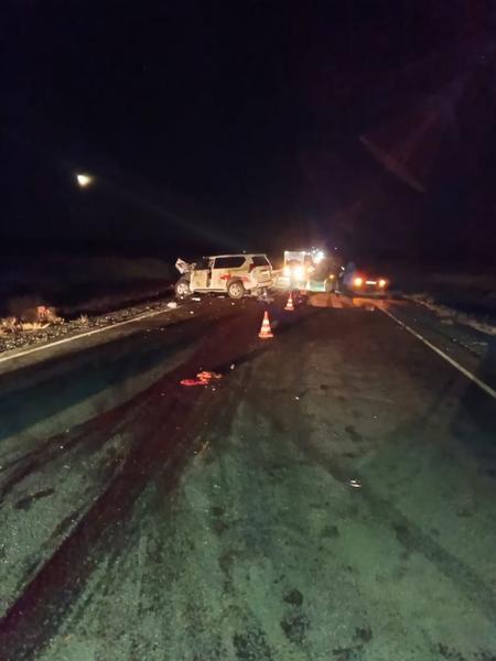 Автомобилист сбил насмерть 14 лошадей в Оренбургской области