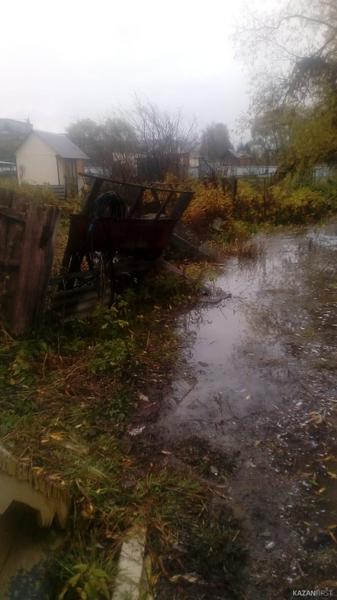 В Татарстане из-за канадских бобров затопило деревню