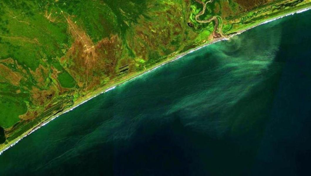 Следственный комитет возбудил уголовное дело о загрязнении Авачинского залива на Камчатке