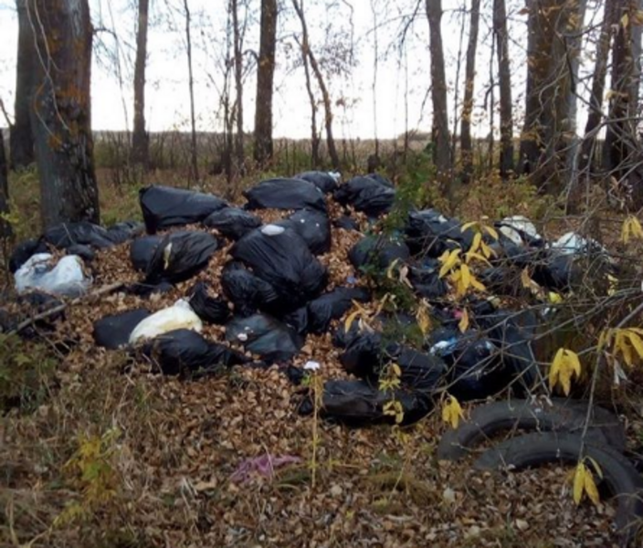 Под Челнами обнаружили свалку с медицинскими отходами