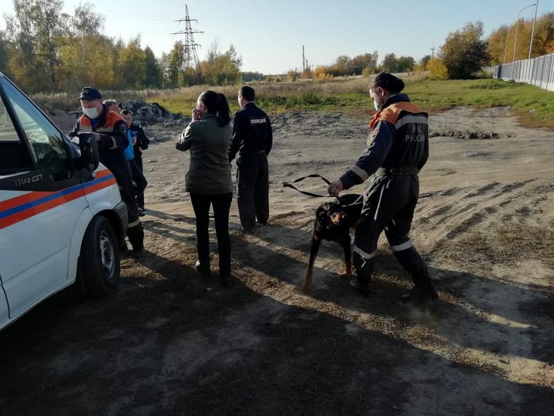 Спасатели вывели заблудившуюся в казанском лесу женщину