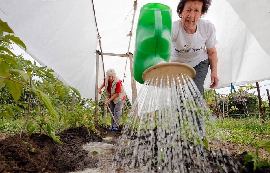 Садоводам Татарстана нужен закон и деньги