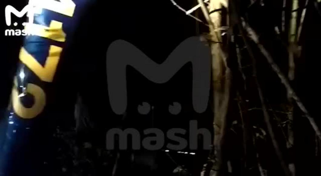 В Московской области упал вертолёт: три человека погибли