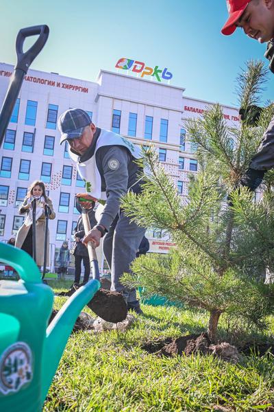 Рустам Минниханов высадил деревья около ДРКБ в рамках акции «Сохраним лес» Рустам Минниханов высадил деревья около ДРКБ в рамках акции «Сохраним лес»